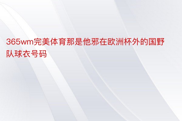 365wm完美体育那是他邪在欧洲杯外的国野队球衣号码